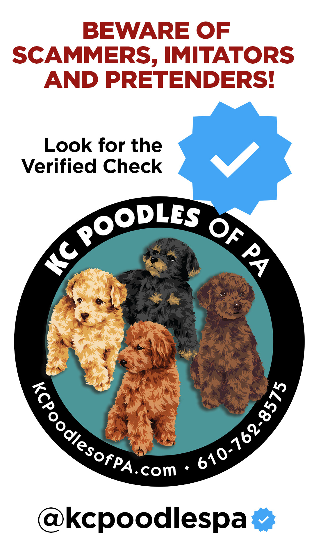 Shop akc miniature poodle puppies for sale near me Online