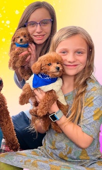 a group of girls holding poodles on a colorful background